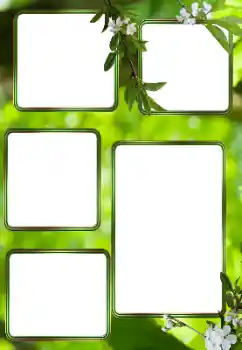 Efekt zdjęciowy z kategorii Lato № 153242