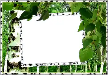 Efekt zdjęciowy z kategorii Lato № 154334