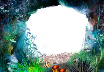 Efekt zdjęciowy z kategorii Lato № 155944 Efekt zdjęciowy z kategorii Lato № 155944