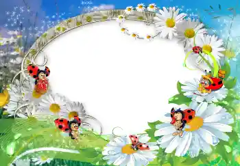 Efekt zdjęciowy z kategorii Lato № 1572 Efekt zdjęciowy z kategorii Lato № 1572