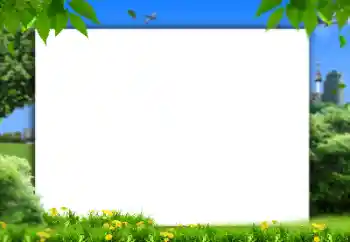 Efekt zdjęciowy z kategorii Lato № 158421 Efekt zdjęciowy z kategorii Lato № 158421