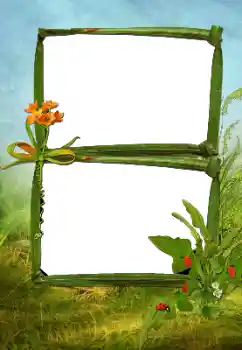 Efekt zdjęciowy z kategorii Lato № 160630