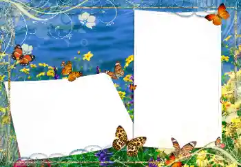 Efekt zdjęciowy z kategorii Lato № 163330