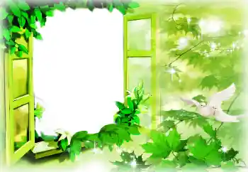 Efekt zdjęciowy z kategorii Lato № 164788