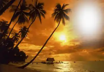 Efekt zdjęciowy z kategorii Lato № 164793