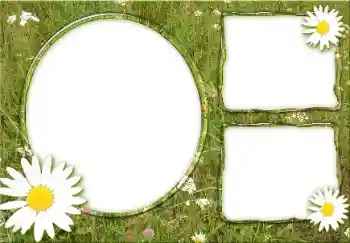 Efekt zdjęciowy z kategorii Lato № 166475