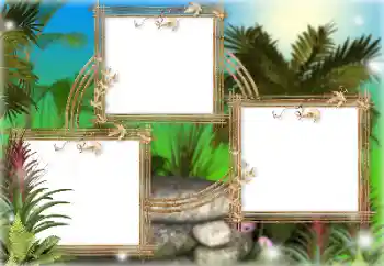 Efekt zdjęciowy z kategorii Lato № 166613