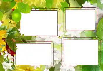 Efekt zdjęciowy z kategorii Lato № 167757