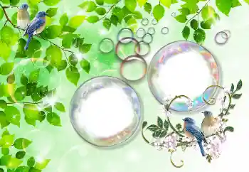 Efekt zdjęciowy z kategorii Lato № 167832