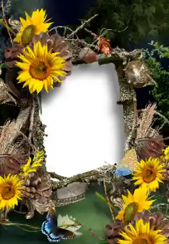 Efekt zdjęciowy z kategorii Lato № 167902