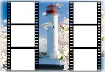 Efekt zdjęciowy z kategorii Lato № 167969