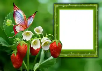 Efekt zdjęciowy z kategorii Lato № 168002