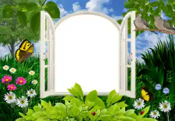 Efekt zdjęciowy z kategorii Lato № 16945