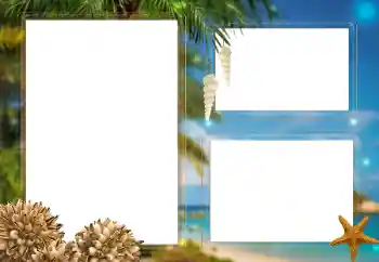 Efekt zdjęciowy z kategorii Lato № 179338