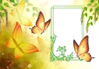 Efekt zdjęciowy z kategorii Lato № 179561