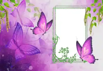 Efekt zdjęciowy z kategorii Lato № 179562