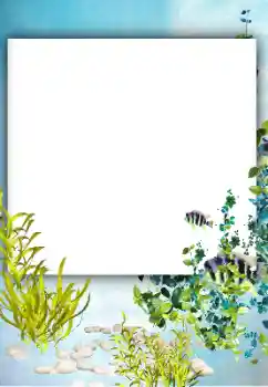 Efekt zdjęciowy z kategorii Lato № 182182