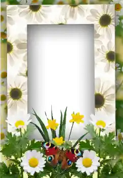 Efekt zdjęciowy z kategorii Lato № 19247 Efekt zdjęciowy z kategorii Lato № 19247