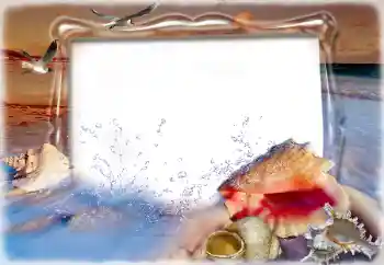 Efekt zdjęciowy z kategorii Lato № 198832