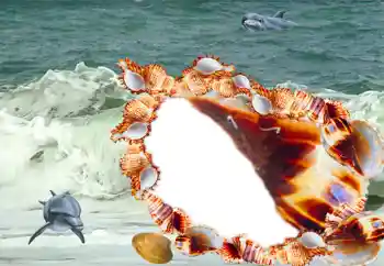 Efekt zdjęciowy z kategorii Lato № 20185 Efekt zdjęciowy z kategorii Lato № 20185