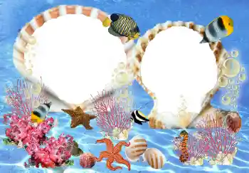 Efekt zdjęciowy z kategorii Lato № 23210 Efekt zdjęciowy z kategorii Lato № 23210