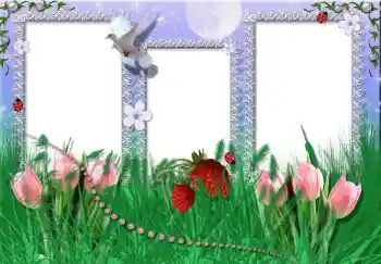 Efekt zdjęciowy z kategorii Lato № 2396 Efekt zdjęciowy z kategorii Lato № 2396