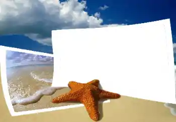 Efekt zdjęciowy z kategorii Lato № 25435 Efekt zdjęciowy z kategorii Lato № 25435