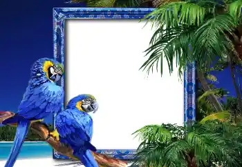 Efekt zdjęciowy z kategorii Lato № 26552 Efekt zdjęciowy z kategorii Lato № 26552