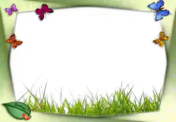 Efekt zdjęciowy z kategorii Lato № 2756 Efekt zdjęciowy z kategorii Lato № 2756