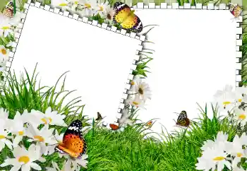 Efekt zdjęciowy z kategorii Lato № 31861 Efekt zdjęciowy z kategorii Lato № 31861