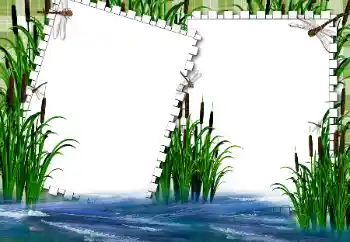 Efekt zdjęciowy z kategorii Lato № 31862 Efekt zdjęciowy z kategorii Lato № 31862