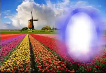 Efekt zdjęciowy z kategorii Lato № 36251 Efekt zdjęciowy z kategorii Lato № 36251