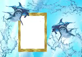 Efekt zdjęciowy z kategorii Lato № 38603 Efekt zdjęciowy z kategorii Lato № 38603