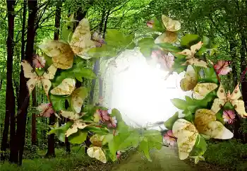 Efekt zdjęciowy z kategorii Lato № 5287 Efekt zdjęciowy z kategorii Lato № 5287