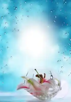 Efekt zdjęciowy z kategorii Lato № 64487 Efekt zdjęciowy z kategorii Lato № 64487