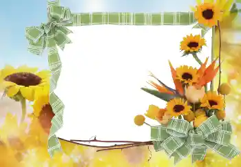 Efekt zdjęciowy z kategorii Lato № 68445 Efekt zdjęciowy z kategorii Lato № 68445