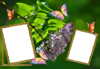 Efekt zdjęciowy z kategorii Lato № 81627 Efekt zdjęciowy z kategorii Lato № 81627