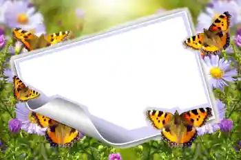 Efekt zdjęciowy z kategorii Lato № 83943 Efekt zdjęciowy z kategorii Lato № 83943