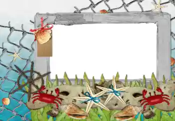 Efekt zdjęciowy z kategorii Lato № 85339 Efekt zdjęciowy z kategorii Lato № 85339