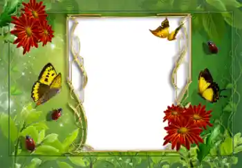 Efekt zdjęciowy z kategorii Lato № 8625 Efekt zdjęciowy z kategorii Lato № 8625