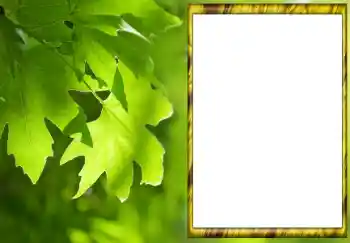 Efekt zdjęciowy z kategorii Lato № 88033 Efekt zdjęciowy z kategorii Lato № 88033