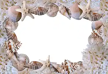 Efekt zdjęciowy z kategorii Lato № 88088 Efekt zdjęciowy z kategorii Lato № 88088