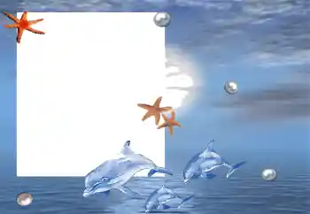 Efekt zdjęciowy z kategorii Lato № 88120 Efekt zdjęciowy z kategorii Lato № 88120