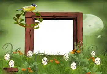 Efekt zdjęciowy z kategorii Lato № 9650 Efekt zdjęciowy z kategorii Lato № 9650