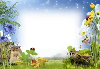 Efekt zdjęciowy z kategorii Lato № 97486 Efekt zdjęciowy z kategorii Lato № 97486