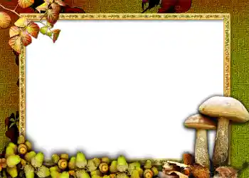 Efekt zdjęciowy z kategorii Jesień № 1011 Efekt zdjęciowy z kategorii Jesień № 1011
