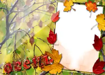 Efekt zdjęciowy z kategorii Jesień № 1016