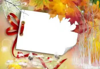 Efekt zdjęciowy z kategorii Jesień № 104121