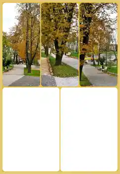 Efekt zdjęciowy z kategorii Jesień № 160725 Efekt zdjęciowy z kategorii Jesień № 160725