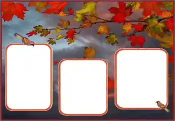 Efekt zdjęciowy z kategorii Jesień № 162013